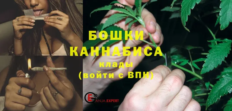 Шишки марихуана OG Kush  Исилькуль 